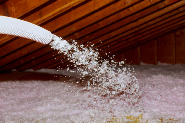 Best Local Insulation Services  in Windsor, IL