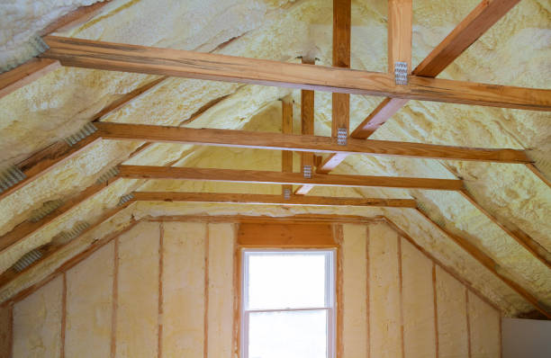 Best Best Insulation Companies  in Windsor, IL