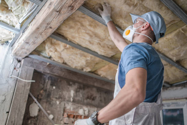 Best Professional Insulation Contractor  in Windsor, IL