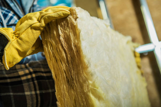 Insulation Replacement Services in Windsor, IL