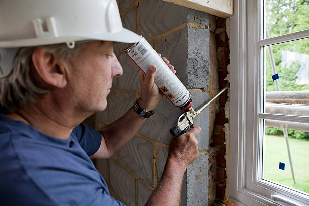 Best Professional Insulation Contractor  in Windsor, IL